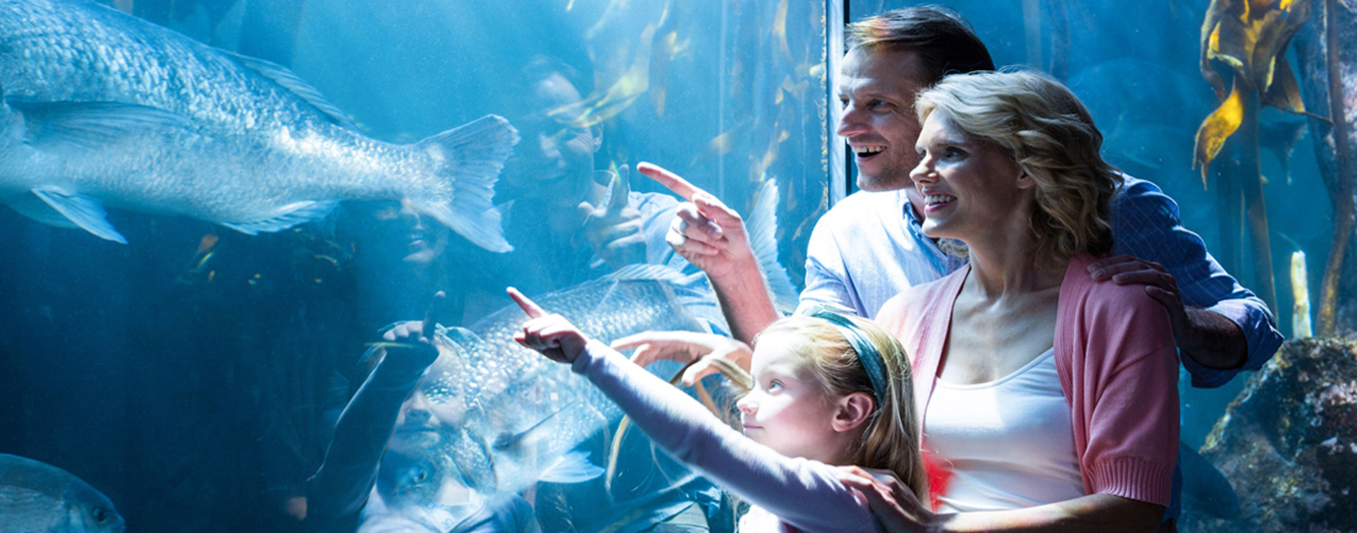 Ripley's Aquarium